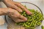 枝豆（作り方３）＿＿塩もみをして毛を取り、塩味をなじませる（松下二郎さん撮影、提供写真）