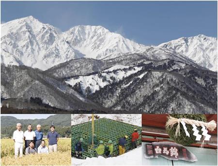 北安曇野の雪中埋蔵＝長野県大町市（提供写真）