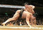 嘉風（よしかぜ）に引き落とされ、ばったりと手をついた白鵬＝２０１５年９月１４日、東京都墨田区・両国国技館（共同）