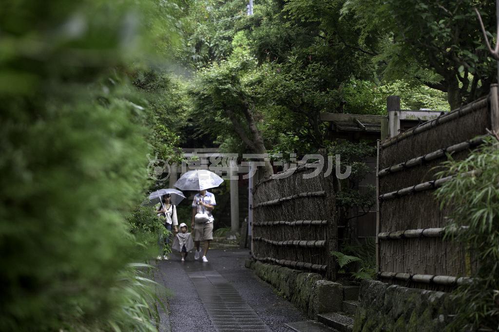 雨に濡れる北鎌倉の路地。今年は本当によく降る＝２０１５年９月６日、神奈川県鎌倉市山ノ内（渡辺照明撮影）