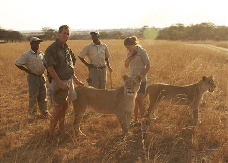 人間たちとライオンが仲間のように散歩に出かける（ディスカバリーチャンネル提供）。（Ｃ）２０１５＿Ｄｉｓｃｏｖｅｒｙ＿Ｃｏｍｍｕｎｉｃａｔｉｏｎｓ，ＬＬＣ．