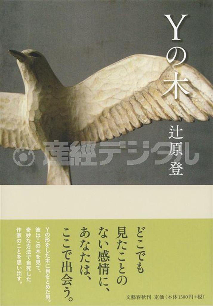 「Ｙの木」（辻原登著／文芸春秋、１３００円＋税、提供写真）