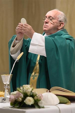 ローマ法王フランシスコ＝２０１５年９月１日、バチカン（ＡＰ）