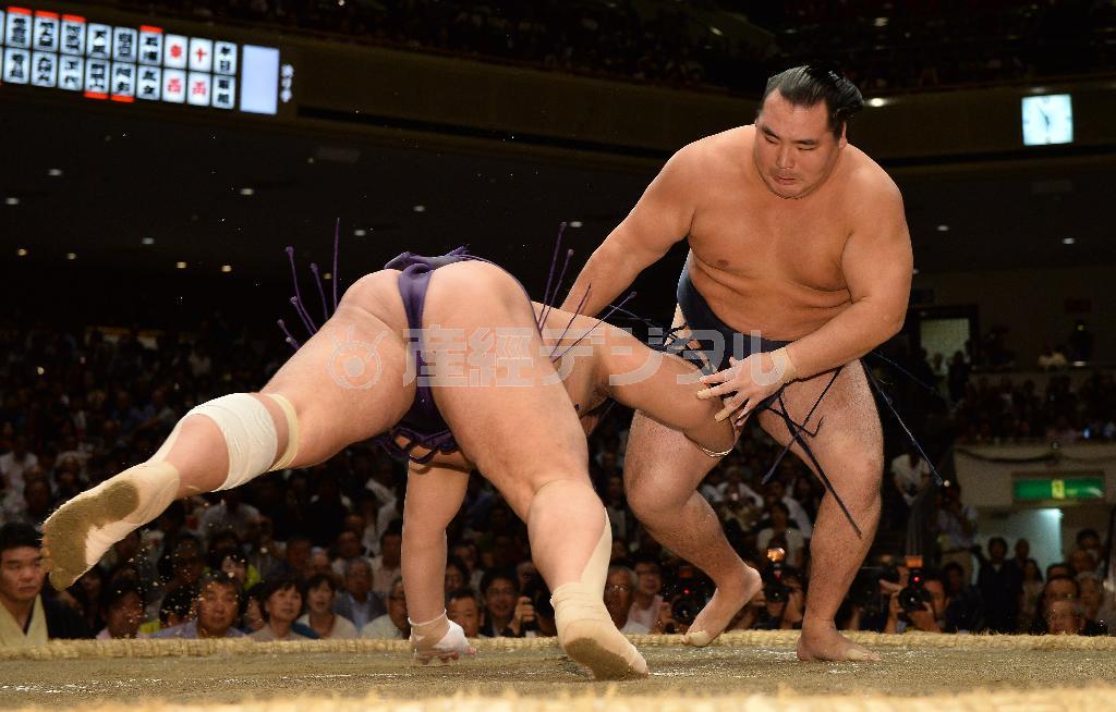 大相撲秋場所１１日目、横綱の鶴竜（かくりゅう）がはたきこみで栃煌山（とちおうざん）を破る＝２０１５年９月２３日、東京都墨田区・両国国技館（納冨康撮影）