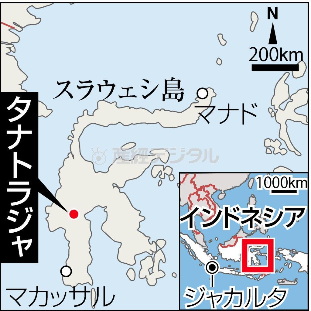 インドネシア・スラウェシ島タナトラジャ