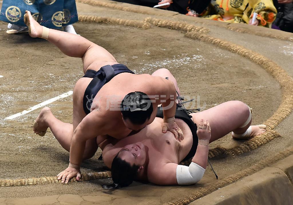 稀勢の里（きせのさと、左）に寄り倒された照ノ富士＝２０１５年９月２５日、東京都墨田区の両国国技館（今井正人撮影）
