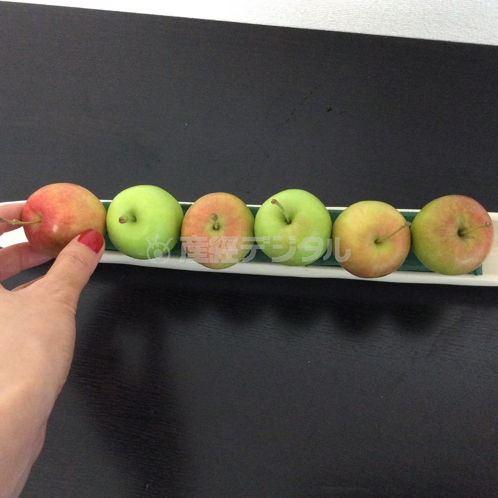 （手順１）ようじをさした姫リンゴ６個を、オアシスセットした横長の花器に平行に挿す。リンゴの向きは完全に上向にそろえる（花千代さん提供）