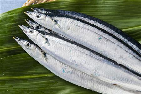 秋の代名詞、サンマ。できるだけ新鮮なものを選んで（松下二郎さん撮影）