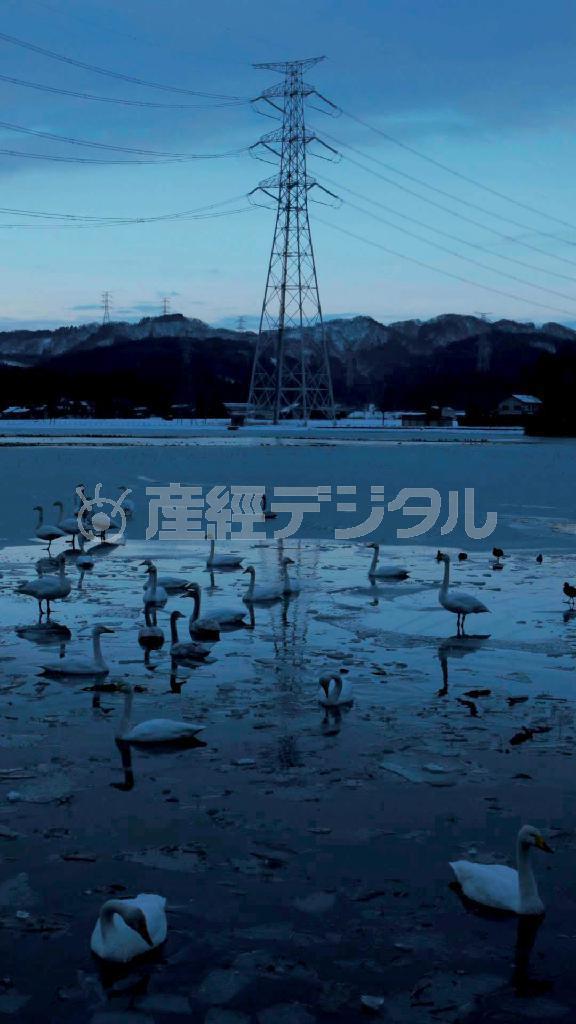 吉原悠博「培養都市＿ＣＯＬＯＮＹ」（提供写真）