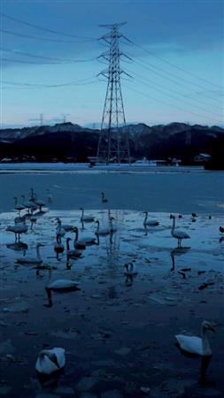 吉原悠博「培養都市＿ＣＯＬＯＮＹ」（提供写真）