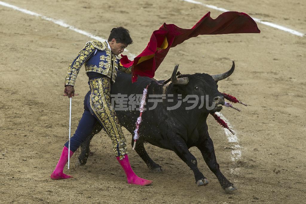 闘牛とは、男が無類の勇気を表現する芸術である。この日、花形闘牛士のアルベルト・エスクデーロは、一度突き飛ばされて靴が脱げても牛に立ち向かった＝２０１５年６月２８日、スペイン・首都マドリードのラス・ベンタス闘牛場（ＡＰ）
