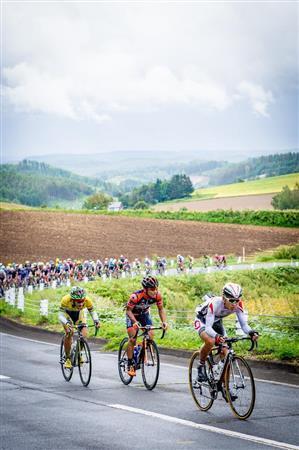 第２ステージ、小雨が降る中で美瑛（びえい）をスタートして富良野（ふらの）に向かう選手たち。背景にはこの地方特有ののどかな畑が広がる＝２０１５年９月１２日、北海道上川郡美瑛町（田中苑子さん撮影）