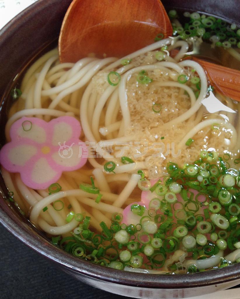 大陸から伝わったともいわれる五島うどん。細くてコシが強い手延べ麺をトビウオだしであっさり食べるのが定番だという＝２０１５年７月２０日、長崎県南松浦郡新上五島町（鈴木健児撮影）