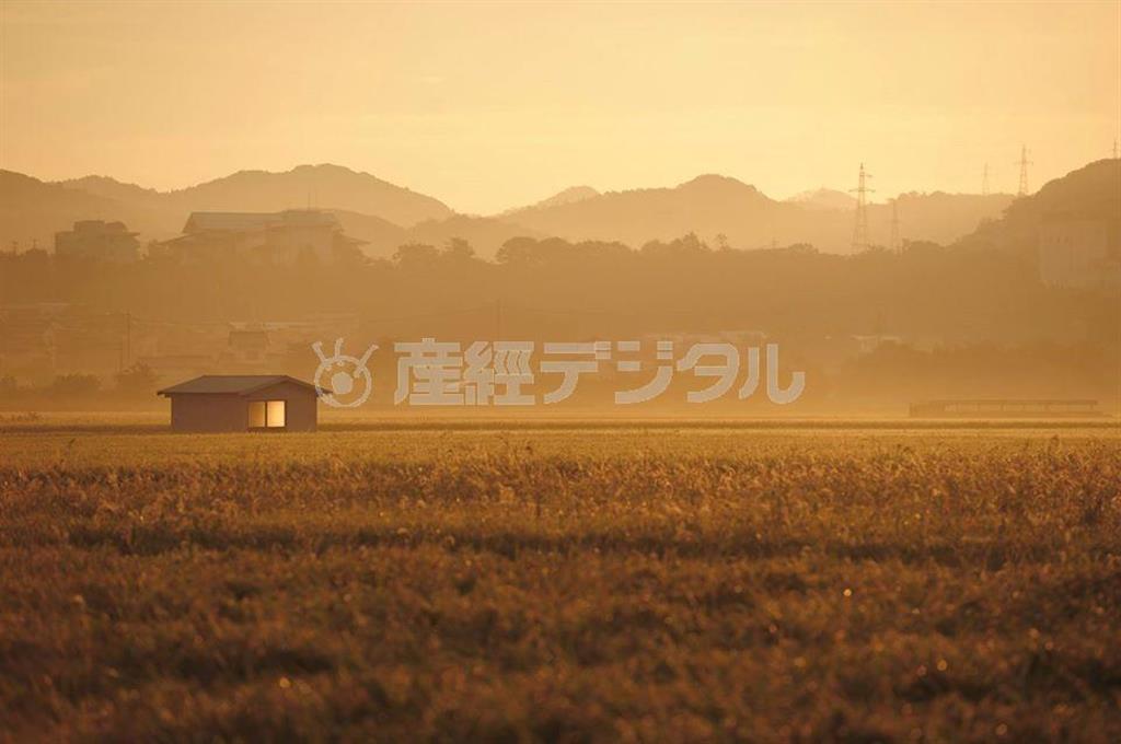 【読者写真（岩谷正樹さん）、タイトル「朝もやの中で」】須藤夕子先生のワンポイントレッスン「美しい朝日のベールにつつまれた景色、赤く焼け始めた空の色調をうまく撮ることができましたね」（提供写真）