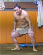 稽古を再開した横綱白鵬＝２０１５年１０月６日午前、東京都墨田区の宮城野部屋（藤原翔撮影）