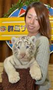 「はじめまして、ルナです」一般公開されたホワイトタイガーの赤ちゃんを抱っこする入場者＝５日、群馬県富岡市岡本の群馬サファリパーク