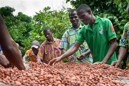 おいしいチョコレートには、持続可能なカカオ豆栽培が欠かせない＝２０１０年７月２９日（ネスレ日本提供）