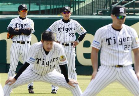 調整する選手たちの様子を見守る阪神の和田豊監督（奥右）＝２０１５年１０月８日、兵庫県西宮市の甲子園球場（共同）
