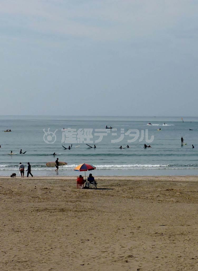 のんびりとした後継に心がほぐれる＝２０１５年１０月４日、神奈川県鎌倉市