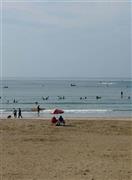 のんびりとした後継に心がほぐれる＝２０１５年１０月４日、神奈川県鎌倉市