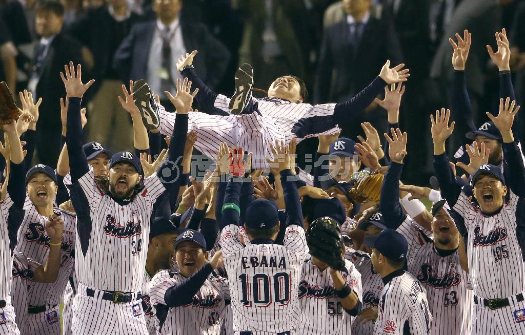 日本シリーズ進出を決めナインから胴上げされるヤクルト・真中満（まなか・みつる）監督＝２０１５年１０月１７日、東京都新宿区の神宮球場（春名中撮影）