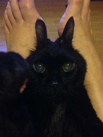 うさぎ！？ではなく、斉藤ユカさんの足の間におさまるタンゴ。「昔はウナギのように腕の間から逃げていきましたが、老いてからはぴったり一緒にいてくれました。赤ちゃんのような瞳は、老いたからこそのかわいさですよね」（斉藤ユカさん提供）