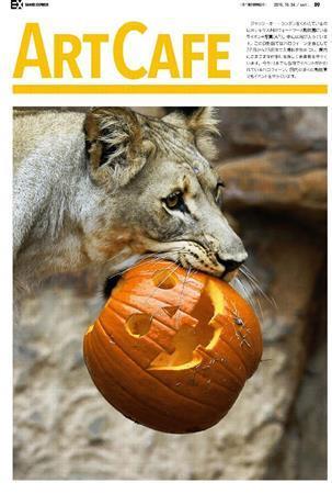 ジャック・オー・ランタンをくわえているライオン＝２０１５年１０月２２日、米テキサス州フォートワース（ＡＰ）