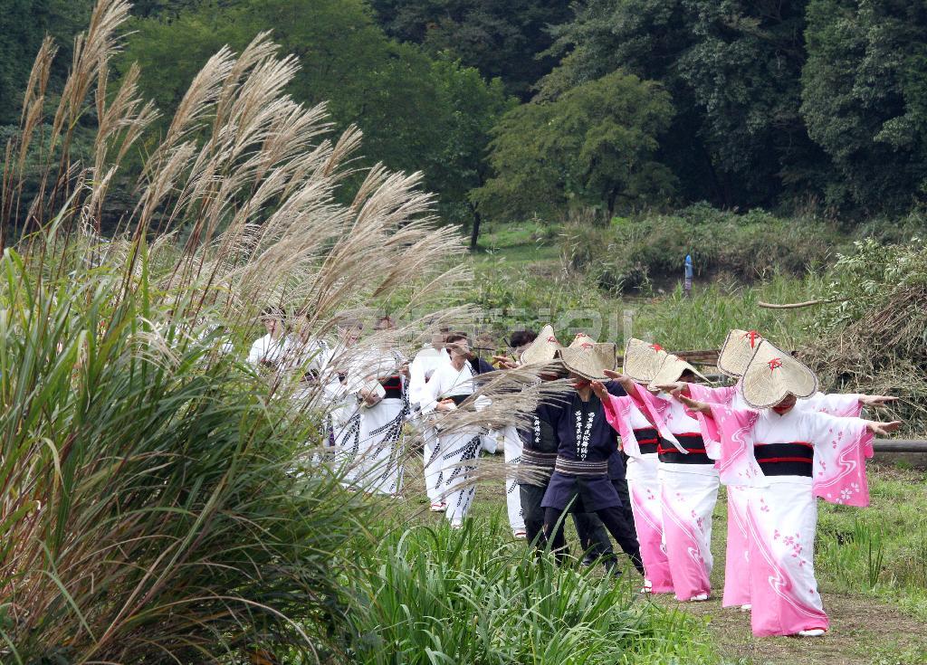 里山の収穫祭＝２０１５年１０月１１日、東京都あきる野市（野村成次撮影）