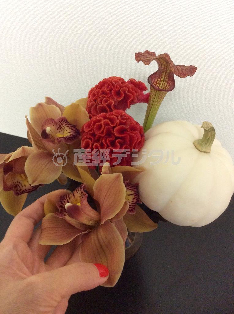 （手順３）ケイトウの後ろ、少し高めにサラセニアを挿し、続けて茎から切り分けたブラウンシンビジウムをアレンジの外側に広がるように２カ所挿す（花千代さん提供）