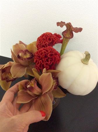 （手順３）ケイトウの後ろ、少し高めにサラセニアを挿し、続けて茎から切り分けたブラウンシンビジウムをアレンジの外側に広がるように２カ所挿す（花千代さん提供）