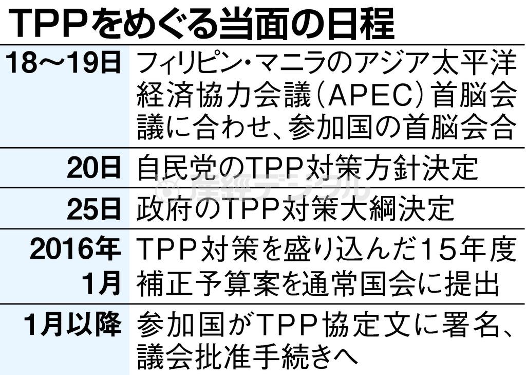 環太平洋戦略的経済連携協定（ＴＰＰ）をめぐる当面の日程＝２０１５年１１月１８日～２０１６年１月以降