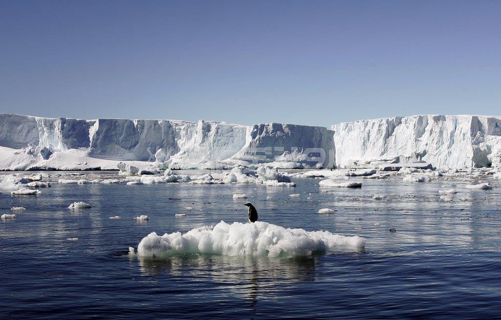 南極の氷の上に立つペンギン。米航空宇宙局（ＮＡＳＡ）の観測では南極の氷はむしろ増えており、従来の説を覆した＝２０１０年１月２３日（ロイター）