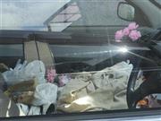 （町田康さん撮影）