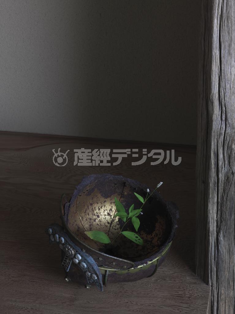 「阿古陀形兜」鎌倉時代、「夏草」（２０１５年、須田悦弘）＝２０１５年８月１日（杉本博司さん撮影、提供写真）