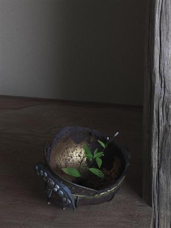 「阿古陀形兜」鎌倉時代、「夏草」（２０１５年、須田悦弘）＝２０１５年８月１日（杉本博司さん撮影、提供写真）