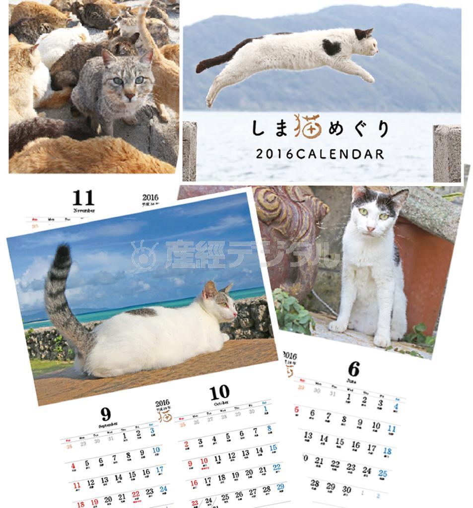 ２０１６年カレンダー「しま猫めぐり」。展開Ａ３サイズ（閉じるとＡ４判）でオールカラー１６ページ。１部５００円（税込み、送料別）