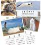 ２０１６年カレンダー「しま猫めぐり」。展開Ａ３サイズ（閉じるとＡ４判）でオールカラー１６ページ。１部５００円（税込み、送料別）