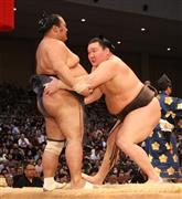 盤石の取り口で豊ノ島（左）を寄り切った白鵬＝２０１５年１１月１３日、福岡県福岡市博多区の福岡国際センター（永田直也撮影）