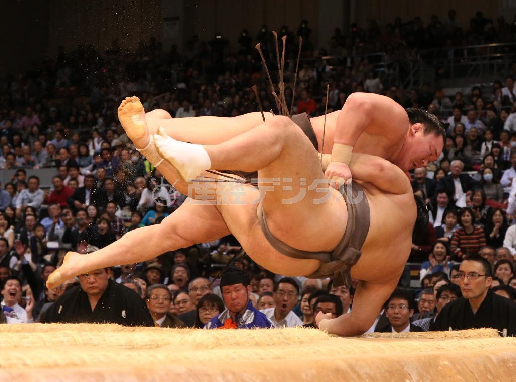白鵬がやぐらなげで隠岐の海（おきのうみ）を下し７戦全勝＝２０１５年１１月１４日、福岡県福岡市博多区の福岡国際センター（永田直也撮影）