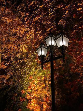 晩秋の、紅葉した蔦（つた）が絡まる赤レンガ壁。街路灯を縦横３分割して交差する点に構図を置くだけで、写真はぐっと人目につきやすくなる＝２０１５年１０月２９日（野口隆史さん撮影）