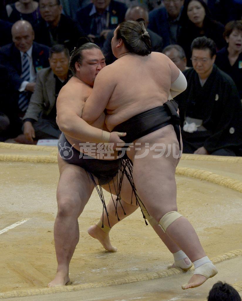照ノ富士（右）を寄り切って１敗を守った稀勢の里（きせのさと）＝２０１５年１１月１６日、福岡県福岡市博多区の福岡国際センター（榎本雅弘撮影）