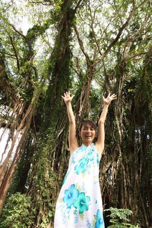 これがバニヤンツリーです！＝２０１２年６月１６日、バヌアツ（相川梨絵さん提供）