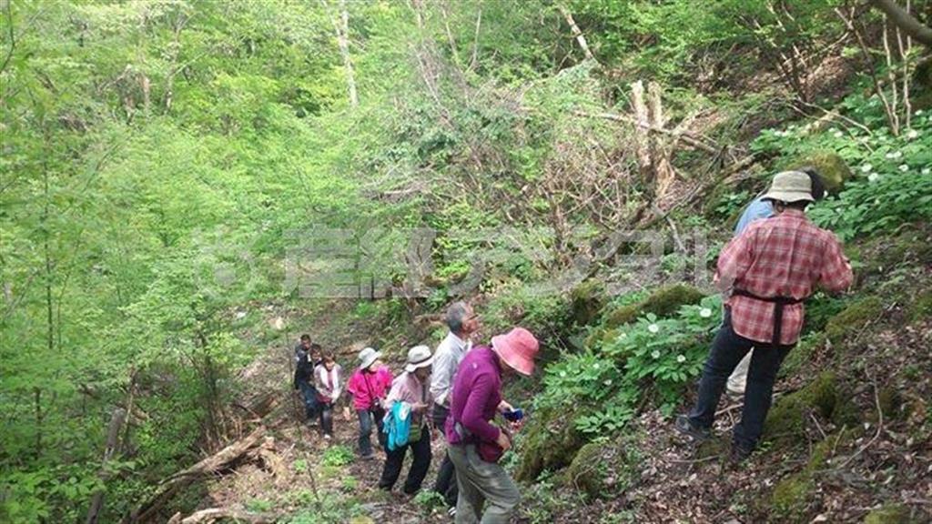 西岡孝明さんのガイドのもと、山歩きも楽しめる＝２０１５年１０月、徳島県三好市（塩塚夢撮影）
