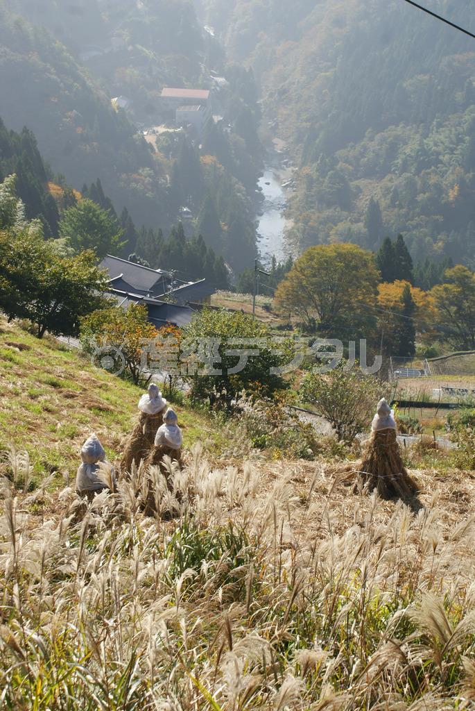 日本の原風景が残る山里＝２０１５年１０月２４日、徳島県三好市（塩塚夢撮影）