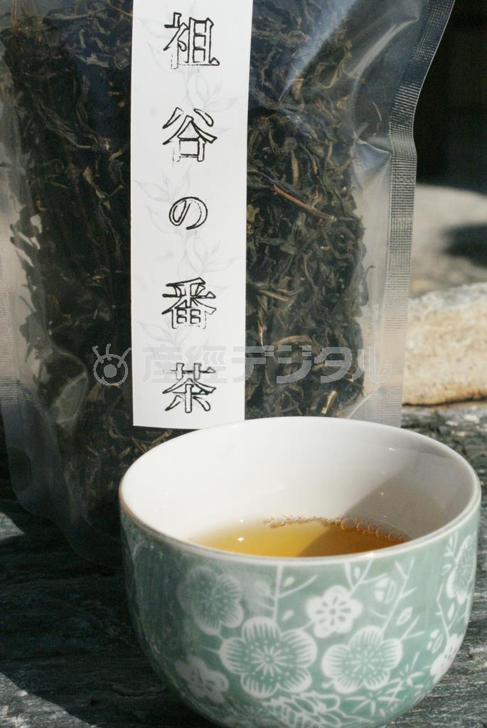 地域外にはほとんど出回らない“幻の番茶”＝２０１５年１０月２４日、徳島県三好市（塩塚夢撮影）