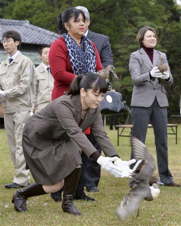 駐日外国大使らに伝統のカモ猟を紹介される秋篠宮家の長女眞子さま＝２０日、千葉県市川市の宮内庁新浜鴨場