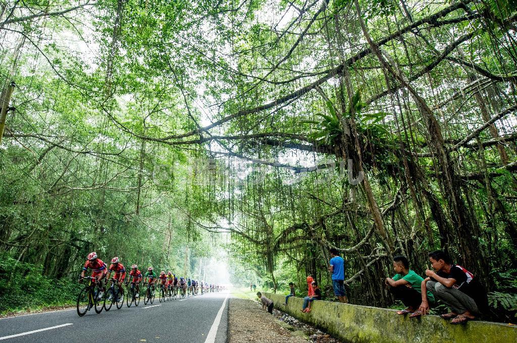 赤道直下の熱帯雨林を抜けてゴールを目指す＝２０１５年１０月９日、インドネシア・西スマトラ州（田中苑子さん撮影）