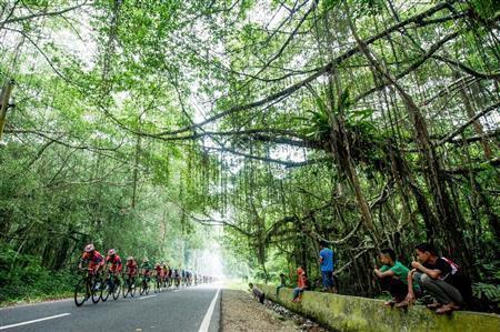 赤道直下の熱帯雨林を抜けてゴールを目指す＝２０１５年１０月９日、インドネシア・西スマトラ州（田中苑子さん撮影）