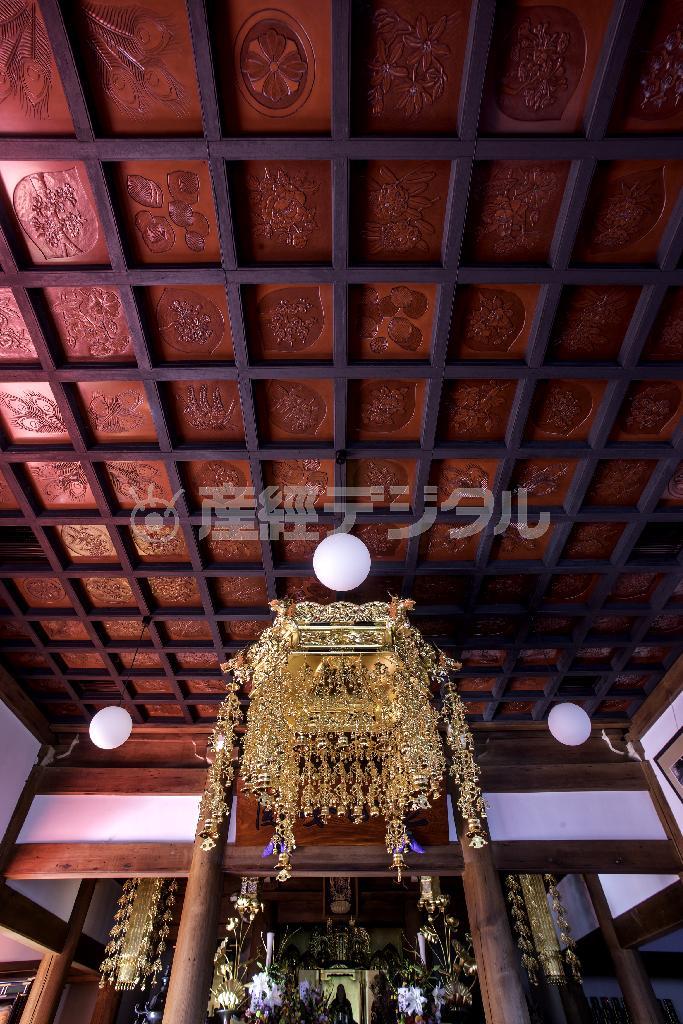 鎌倉彫がずっと前からあるように格天井になじむ＝２０１５年１１月７日、神奈川県鎌倉市長谷の光則寺（渡辺照明撮影）