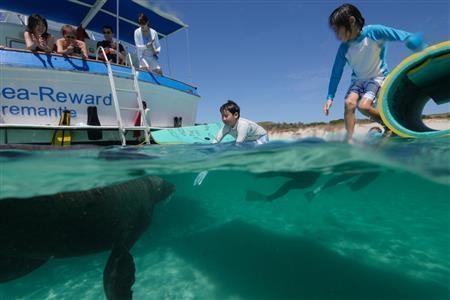 アシカは２人の息子の姿に気付くと、ボートに寄ってくるようになった＝２０１５年２月２５日、オーストラリア・カナック島（越智隆治さん撮影）